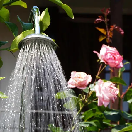 Oneiropetra Luxury House * Argalasti